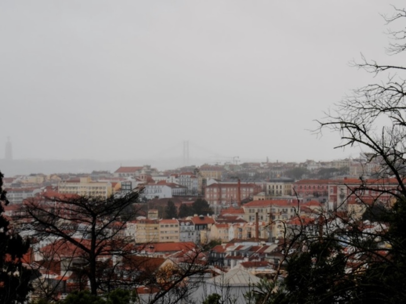 19+ Things to Do on a Rainy Day in Lisbon